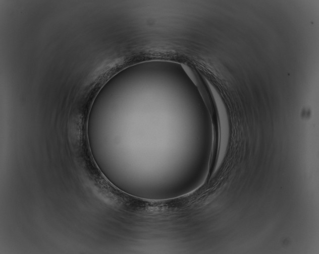 X0000091670744200708301459