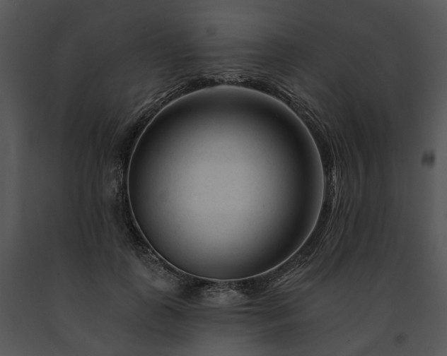 X0000091670747200708301459