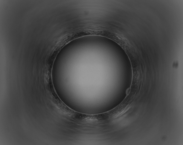 X0000091670749200708301459