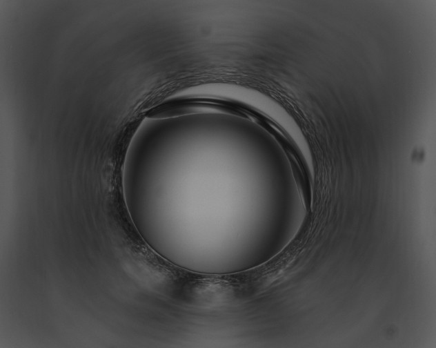 X0000091670750200708301459