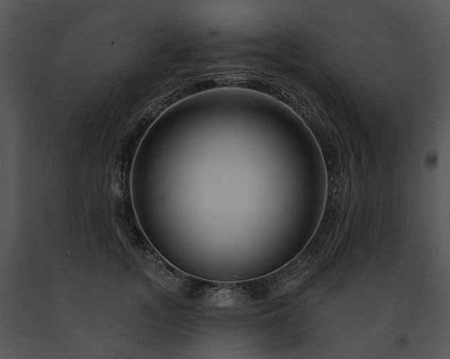 X0000091670755200708301459