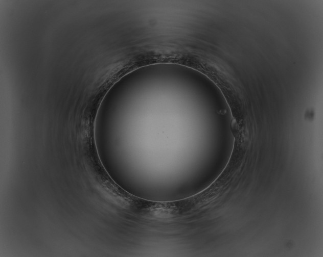 X0000091670756200708301459