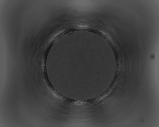 X0000091670762200708301459