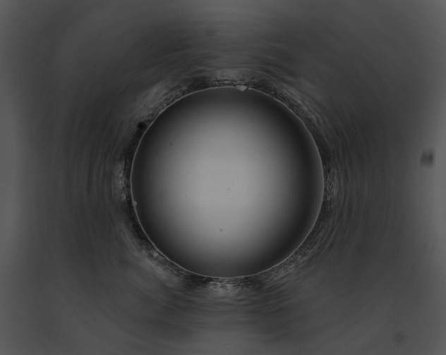 X0000091670764200708301459