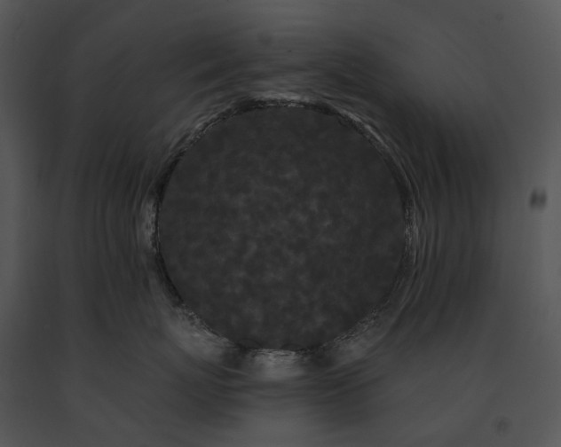 X0000091670767200708301459