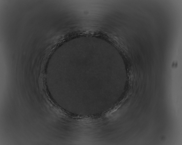 X0000091670769200708301459