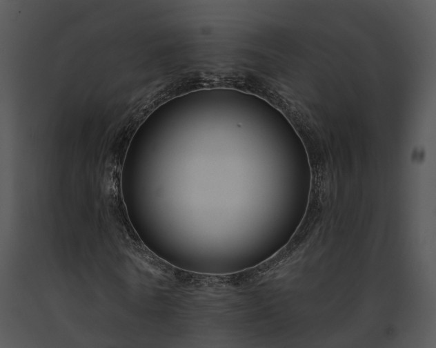 X0000091670770200708301459