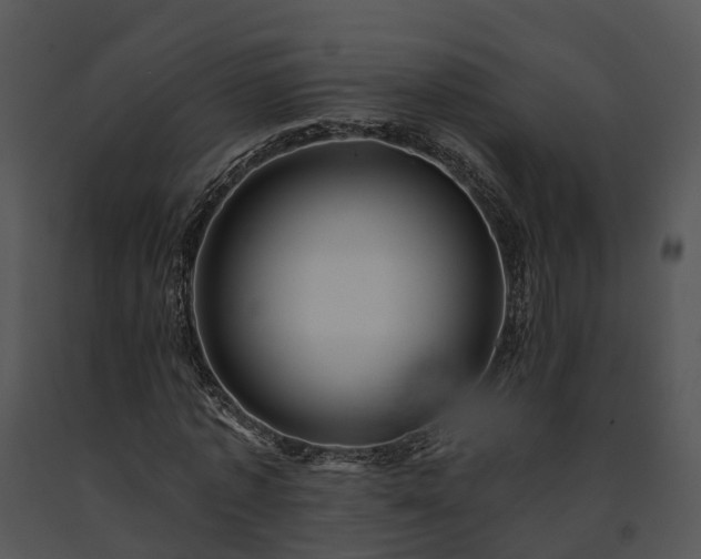 X0000091670773200708301458