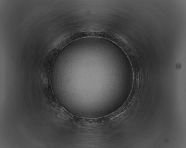 X0000091670774200708301458