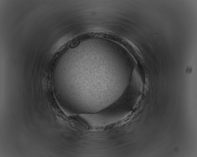 X0000091670775200708301458