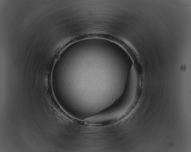 X0000091670777200708301458