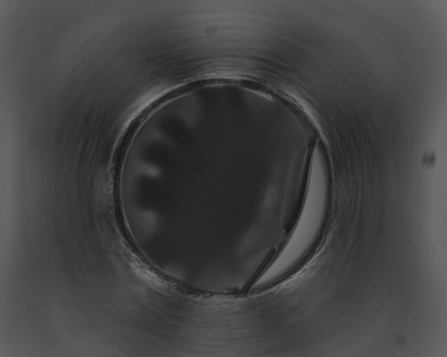 X0000091670779200708301458