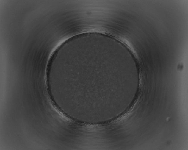 X0000091670780200708301458