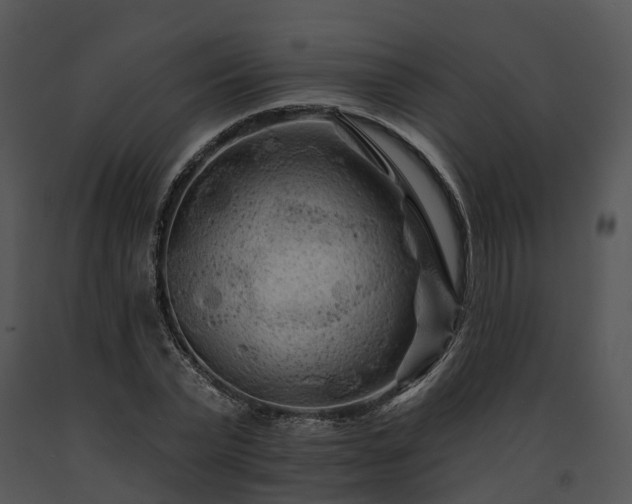 X0000091670783200708301458