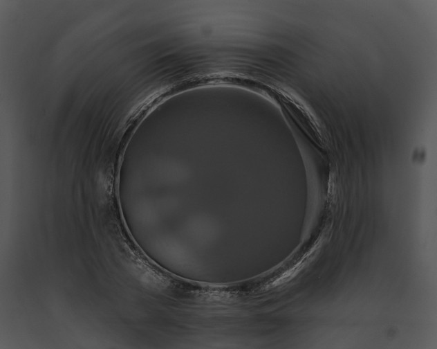 X0000091670785200708301458