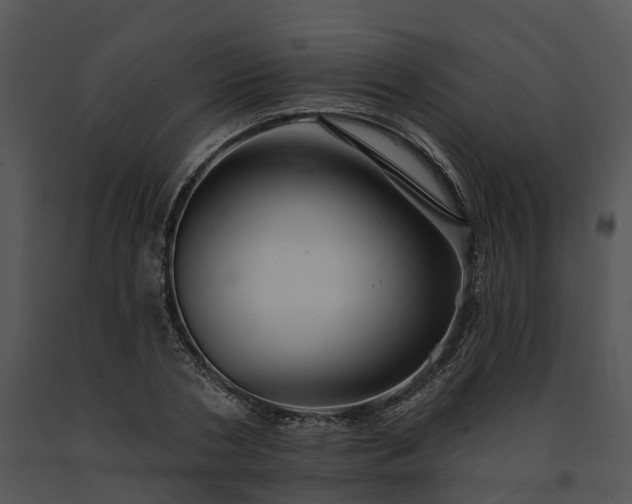 X0000091670786200708301458