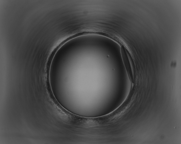 X0000091670787200708301458