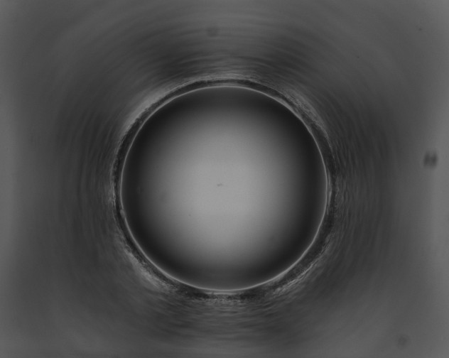 X0000091670789200708301458