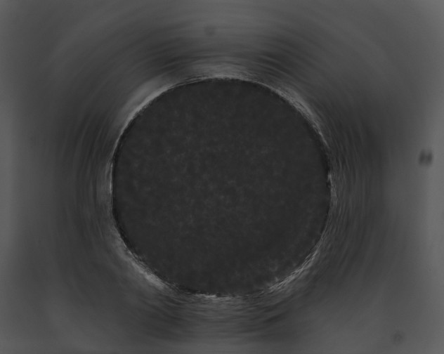 X0000091670790200708301458