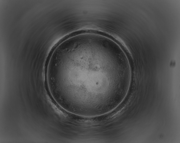 X0000091670791200708301458