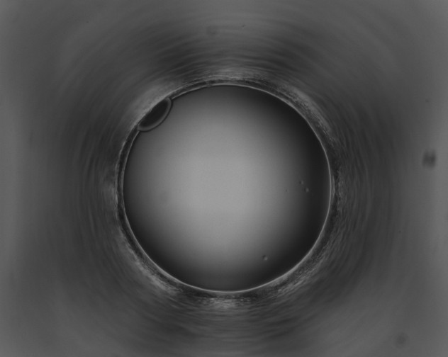 X0000091670794200708301458