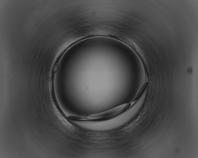 X0000091670795200708301458