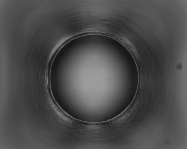 X0000091670796200708301458