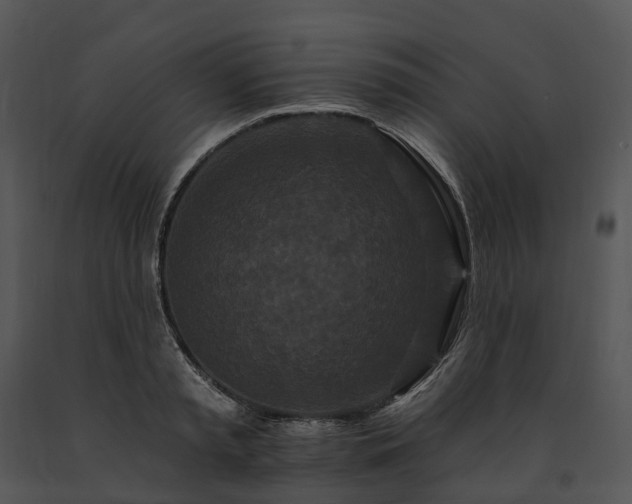 X0000091670797200708301458