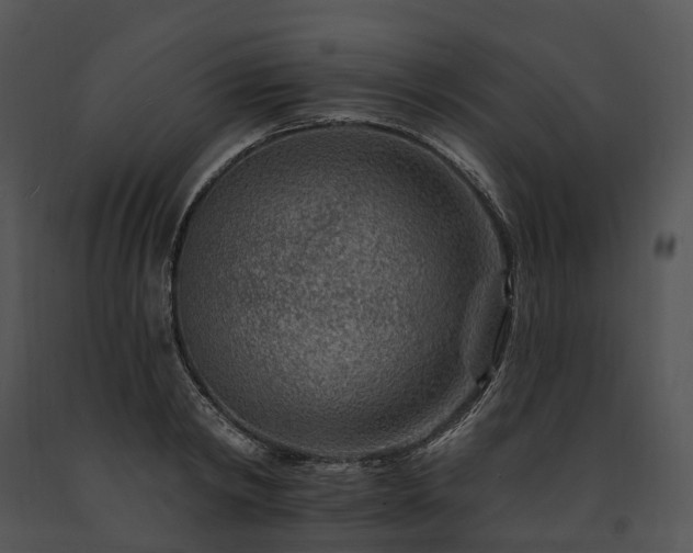 X0000091670798200708301458