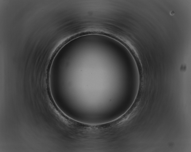 X0000091670799200708301458