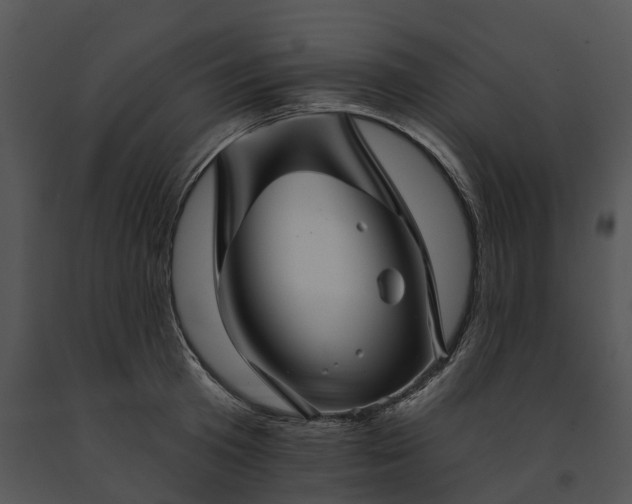 X0000091670801200708301458