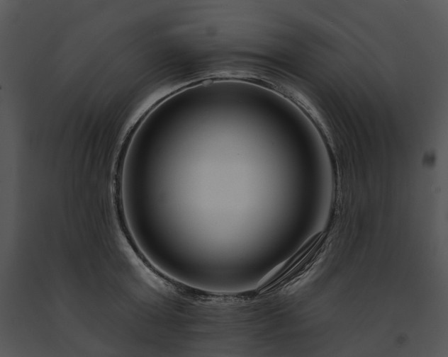 X0000091670803200708301458
