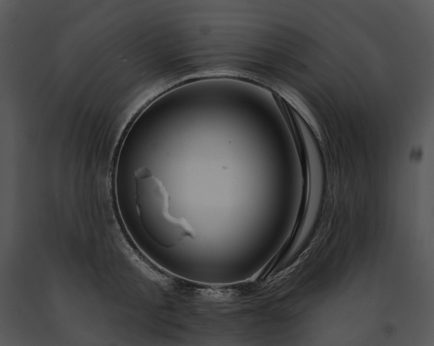 X0000091670805200708301458