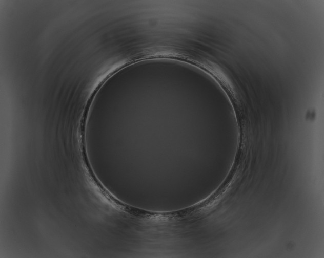 X0000091670806200708301458