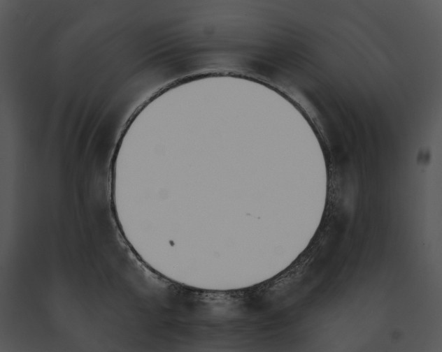 X0000091670807200708301458