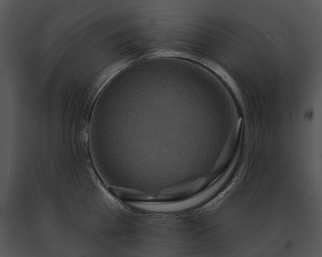 X0000091670809200708301458