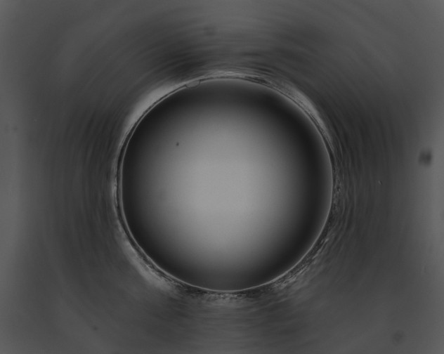 X0000091670811200708301458