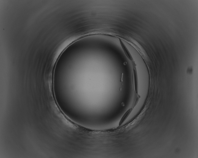 X0000091670812200708301458