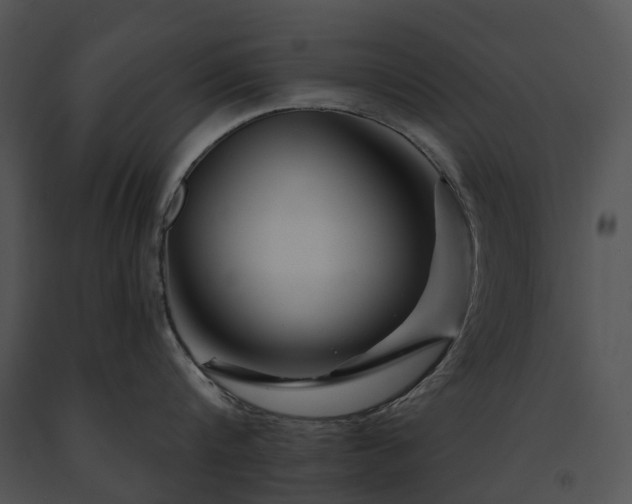 X0000091670816200708301458