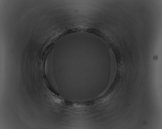 X0000091670818200708301457