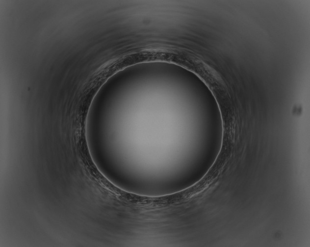 X0000091670821200708301457