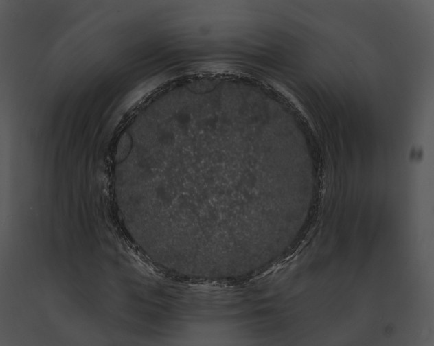 X0000091670823200708301457