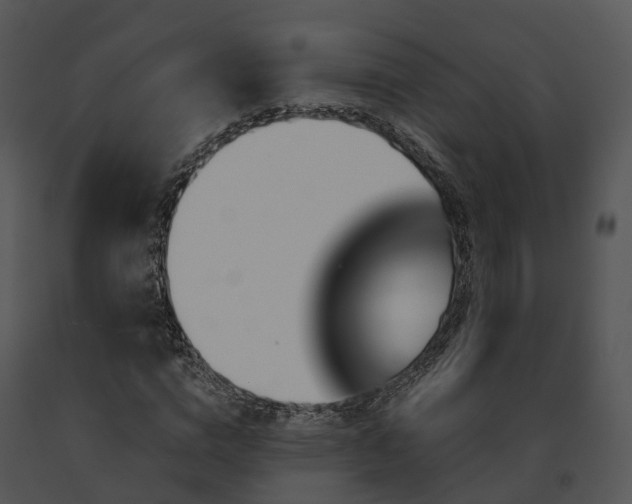 X0000091670824200708301457