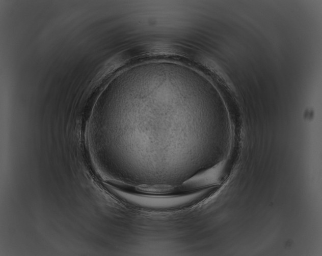 X0000091670825200708301457