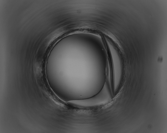X0000091670826200708301457