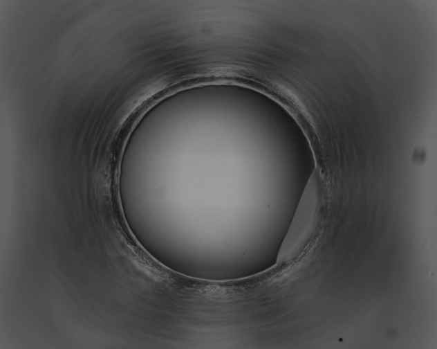 X0000091670827200708301457