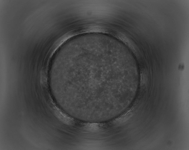 X0000091670828200708301457