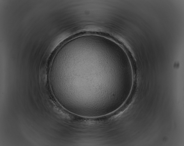 X0000091670829200708301457