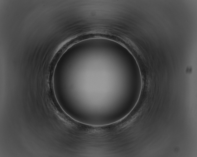 X0000091670830200708301457