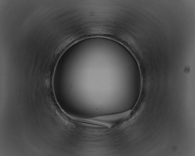 X0000091670833200708301458